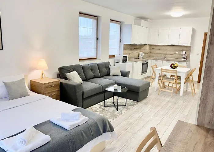 Modern Studio For 4 Persons With Fast Wi-Fi